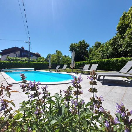 Guesthouse Pri Mihelovih Sežana Zewnętrze zdjęcie