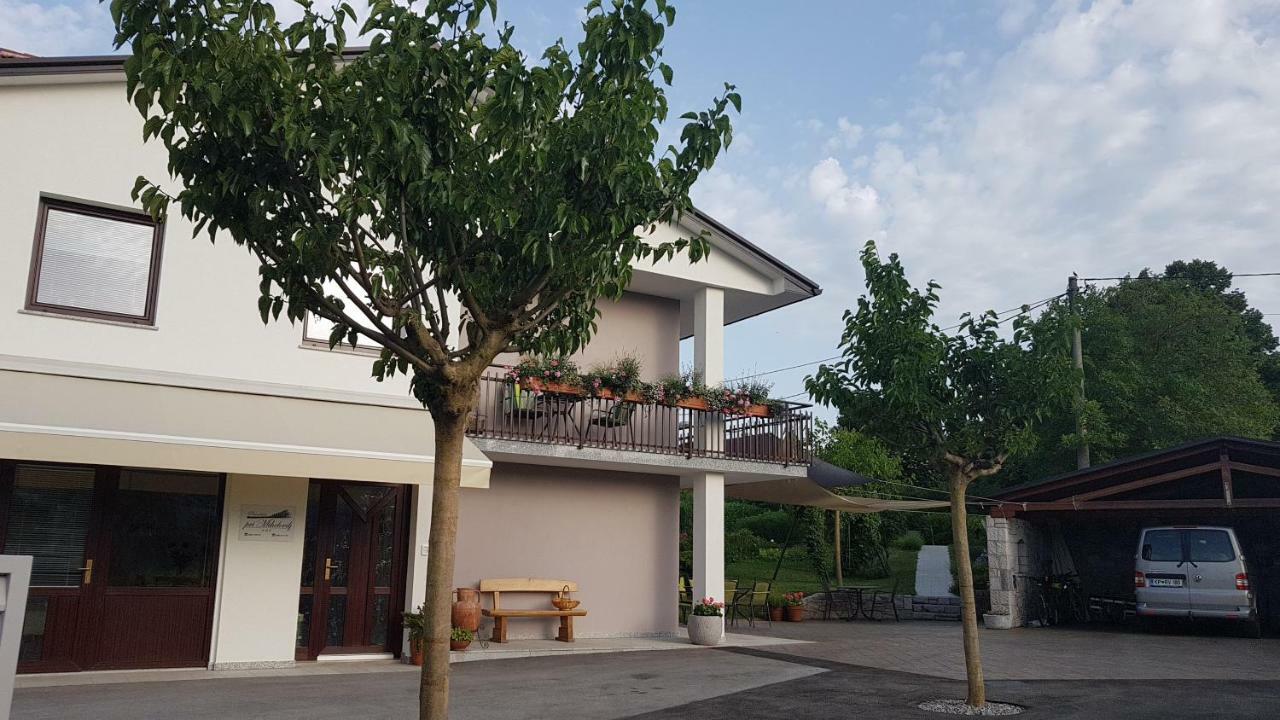 Guesthouse Pri Mihelovih Sežana Zewnętrze zdjęcie