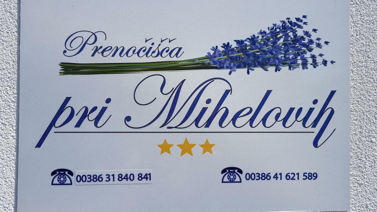 Guesthouse Pri Mihelovih Sežana Zewnętrze zdjęcie